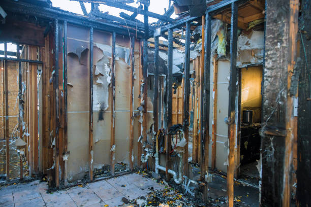 Professional Fire Damage Removal technician working in Desert View Highlands, CA